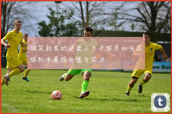 微笑刺客的逆袭小个子球员如何在球队中展现价值与实力